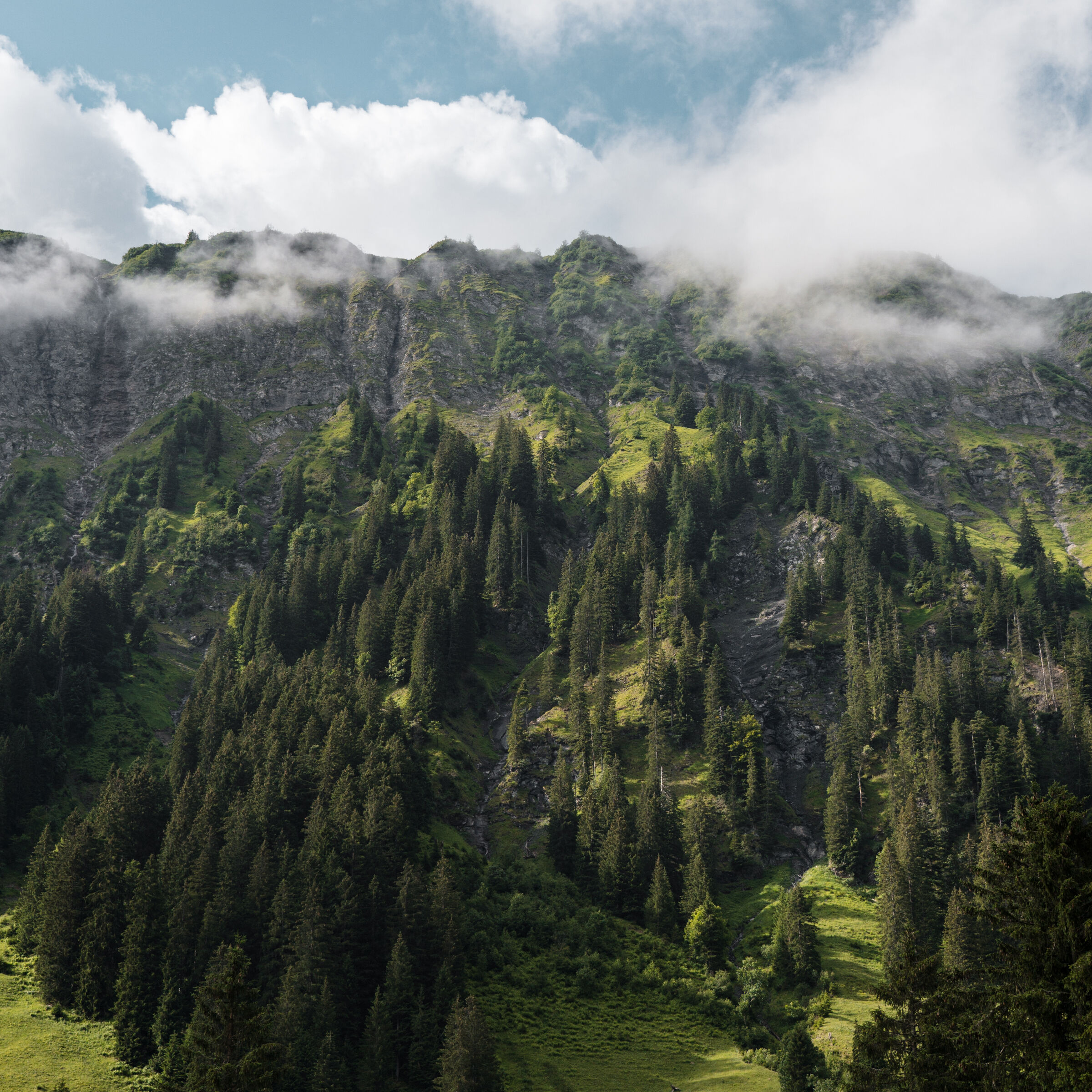 Via Alpina 1, Schweiz